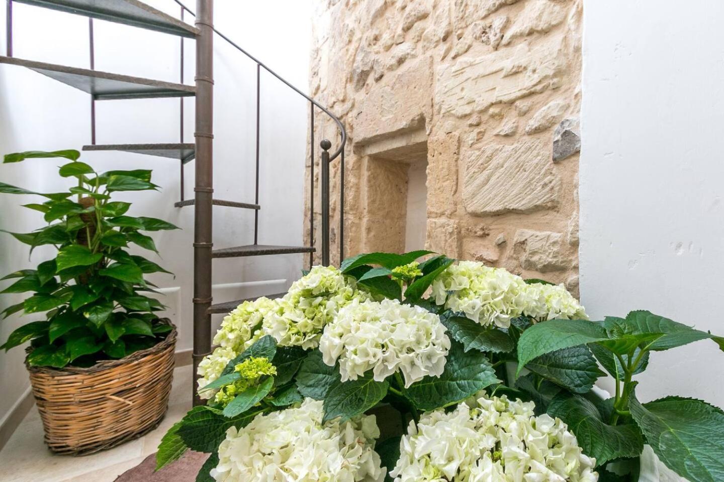 Bed and Breakfast Caminanti Lecce Exterior foto